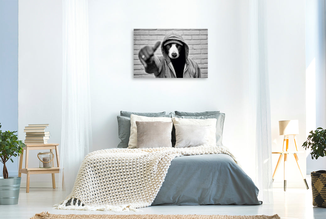 Premium Textil-Leinwand Premium Textil-Leinwand 120 cm x 80 cm quer Border Collie Bild auf Leinwand