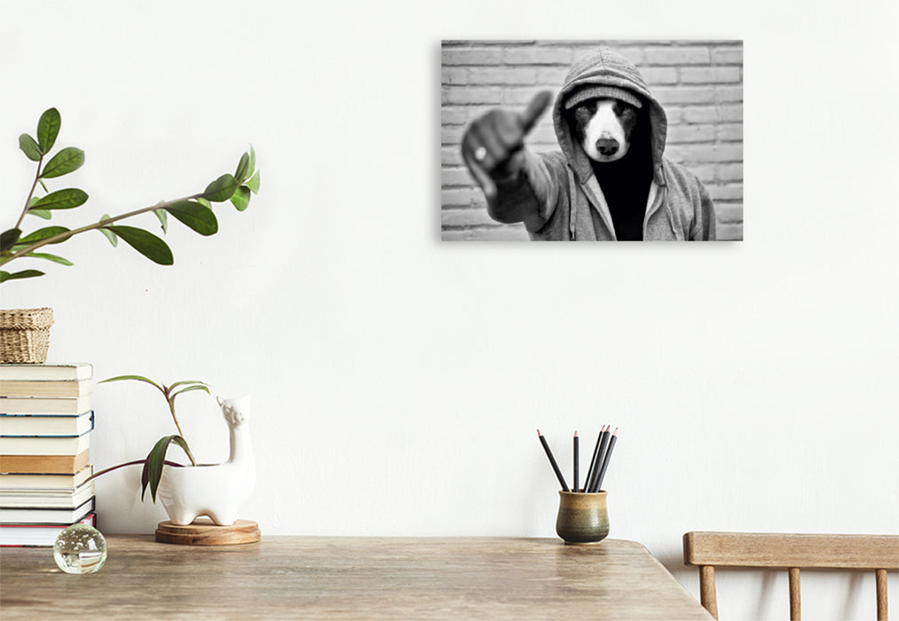 Premium Textil-Leinwand Premium Textil-Leinwand 120 cm x 80 cm quer Border Collie Bild auf Leinwand