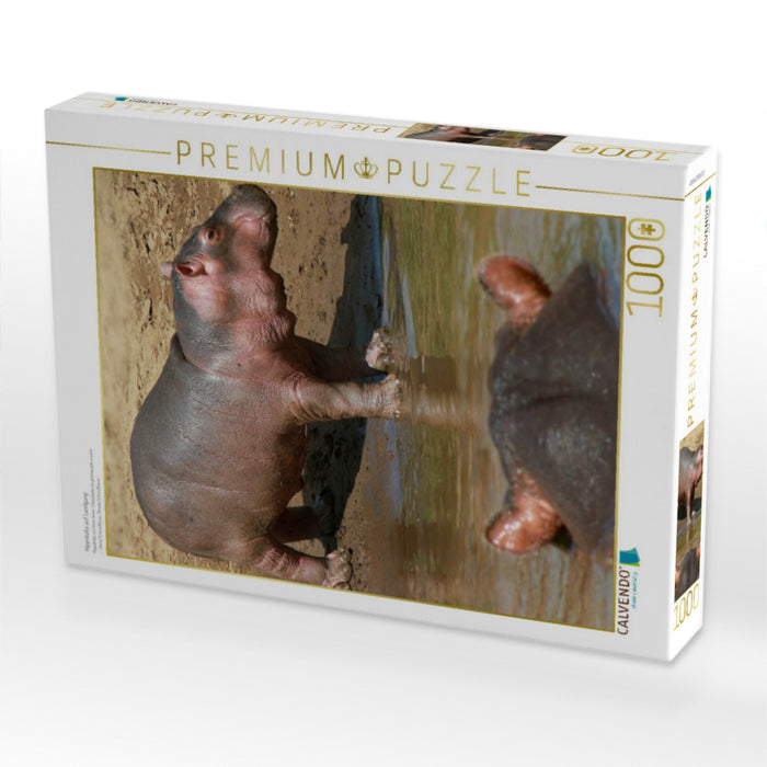 Hippobaby auf Landgang - CALVENDO Foto-Puzzle'