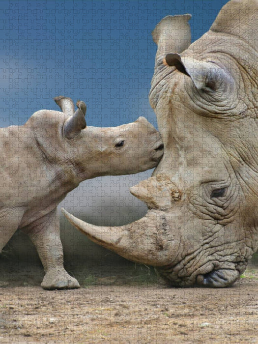Nashornbaby mit Muttertier - CALVENDO Foto-Puzzle'