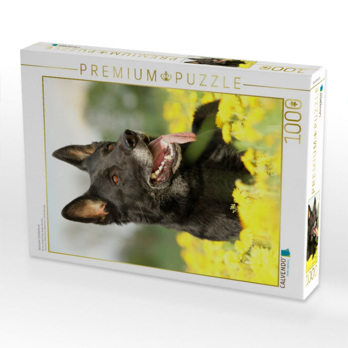 Deutscher Schäferhund - CALVENDO Foto-Puzzle'