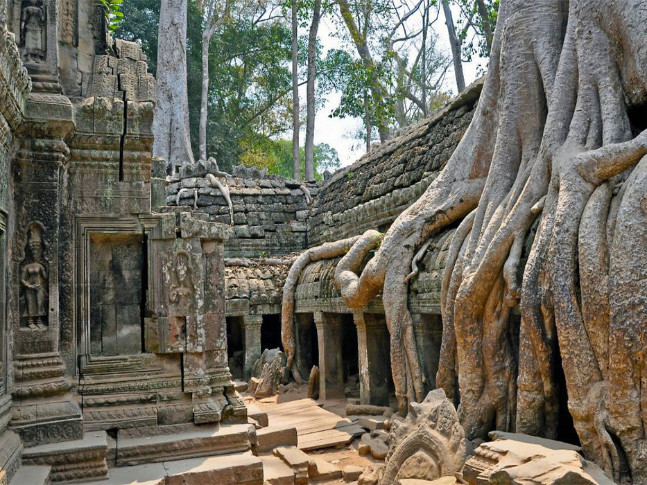 Ta Prohm-Tempel - CALVENDO Foto-Puzzle'