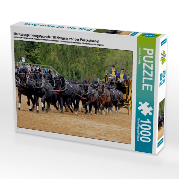 Moritzburg Stallion Parade: 16 stallions in front of the stagecoach! - CALVENDO photo puzzle 