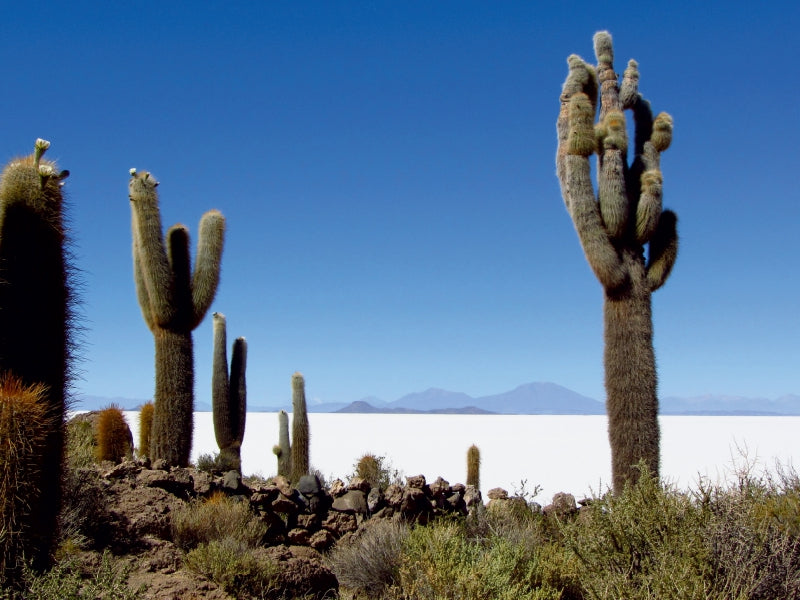 Bolivien 1000 Teile Puzzle quer - CALVENDO Foto-Puzzle'