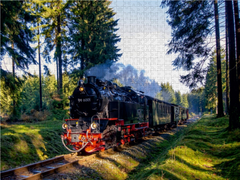Sonderzug bei Elend 1000 Teile Puzzle quer - CALVENDO Foto-Puzzle'