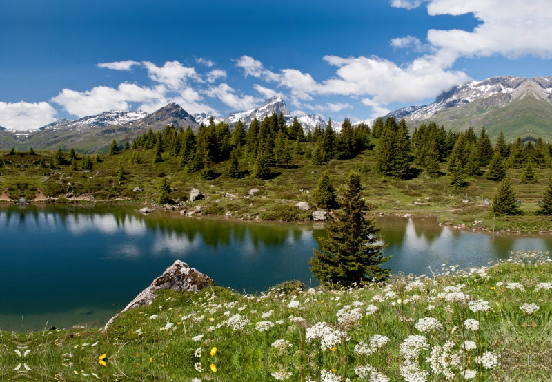 Premium Textil-Leinwand Alpenpanorama in Graubünden