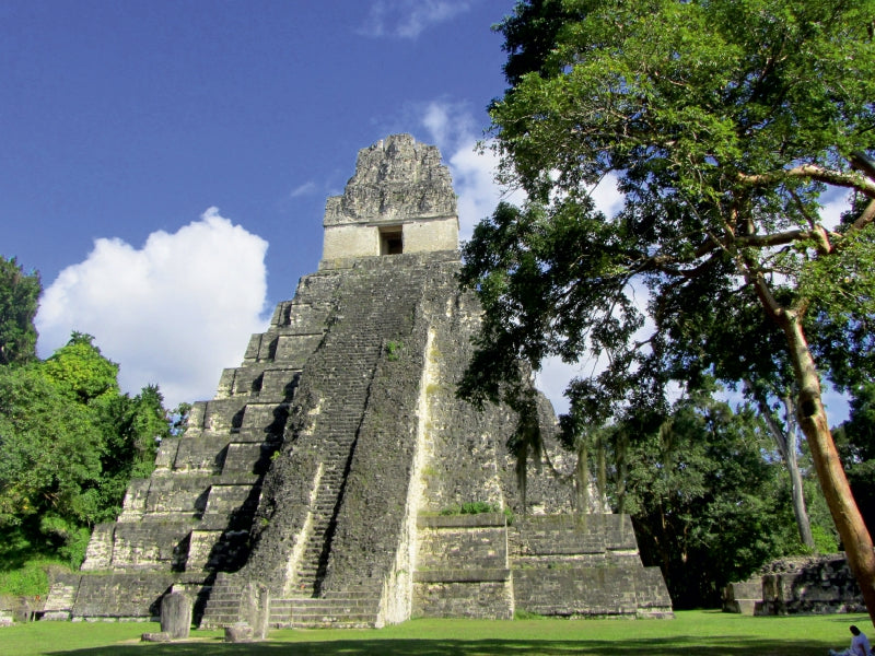 Maya Pyramide in Tikal, Guatemala 1000 Teile Puzzle quer - CALVENDO Foto-Puzzle'
