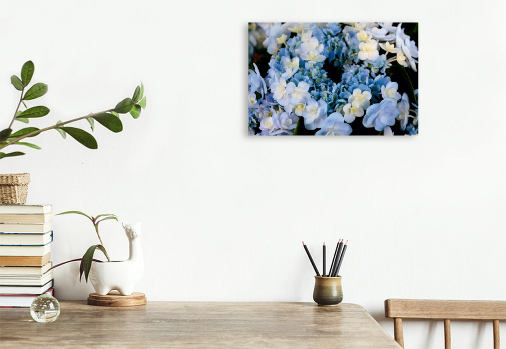 Toile textile premium Toile textile premium 120 cm x 80 cm paysage Hortensia bleu clair 