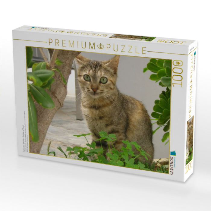 Katzen der Kykladen - Frühling auf Naxos - CALVENDO Foto-Puzzle'