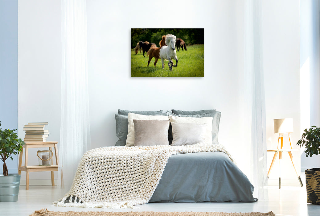 Premium Textil-Leinwand Premium Textil-Leinwand 120 cm x 80 cm quer Ein Motiv aus dem Kalender Isländer - icelandic horses