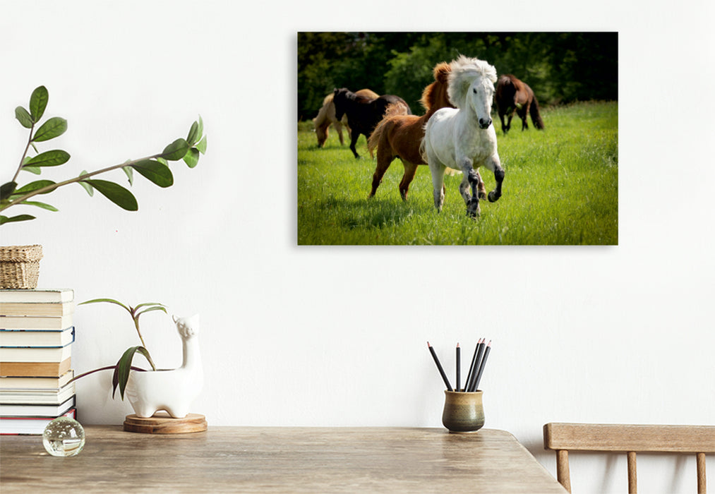 Premium Textil-Leinwand Premium Textil-Leinwand 120 cm x 80 cm quer Ein Motiv aus dem Kalender Isländer - icelandic horses