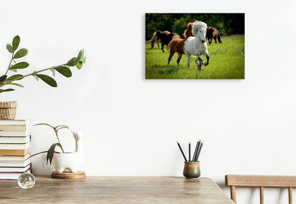 Premium Textil-Leinwand Premium Textil-Leinwand 120 cm x 80 cm quer Ein Motiv aus dem Kalender Isländer - icelandic horses