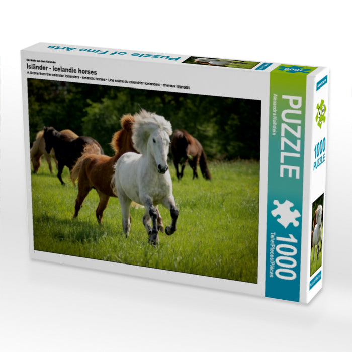 Ein Motiv aus dem Kalender Isländer - icelandic horses 1000 Teile Puzzle quer - CALVENDO Foto-Puzzle'
