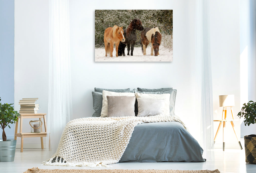 Premium Textil-Leinwand Premium Textil-Leinwand 120 cm x 80 cm quer Ein Motiv aus dem Kalender Isländer - icelandic horses