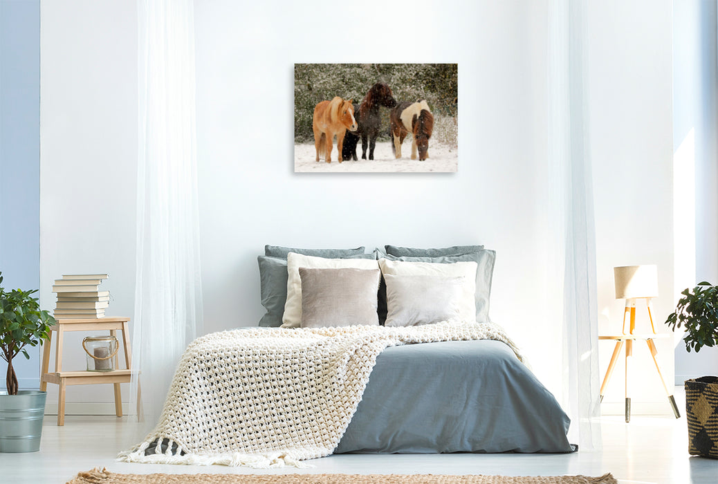 Premium Textil-Leinwand Premium Textil-Leinwand 120 cm x 80 cm quer Ein Motiv aus dem Kalender Isländer - icelandic horses