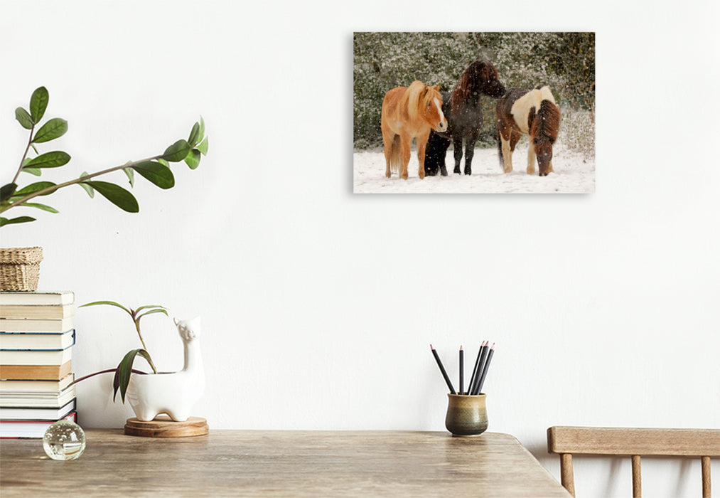 Premium Textil-Leinwand Premium Textil-Leinwand 120 cm x 80 cm quer Ein Motiv aus dem Kalender Isländer - icelandic horses