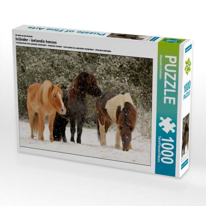 Icelandic horses - Icelandic horses - CALVENDO photo puzzle 