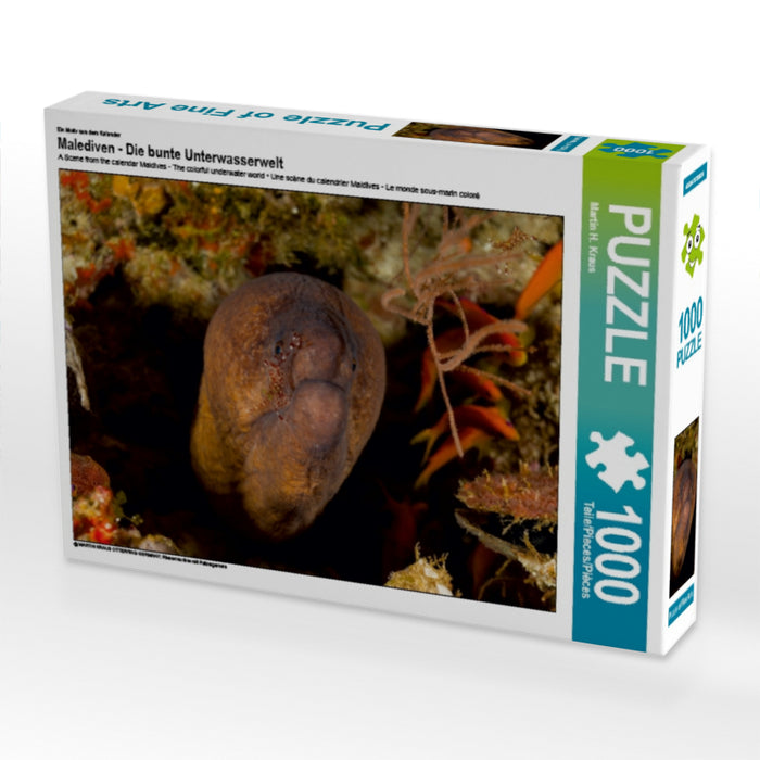 Ein Motiv aus dem Kalender Malediven - Die bunte Unterwasserwelt 1000 Teile Puzzle quer - CALVENDO Foto-Puzzle'