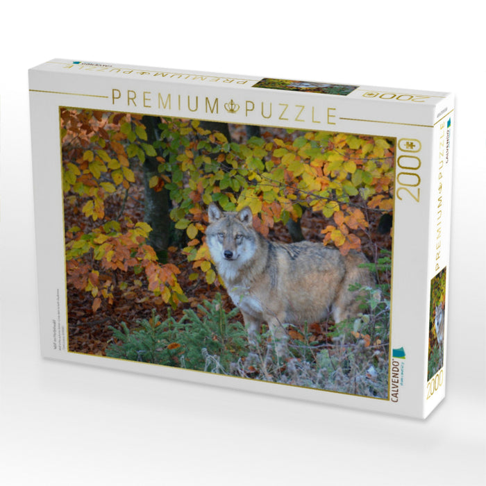 Wolf im Herbstwald - CALVENDO Foto-Puzzle'