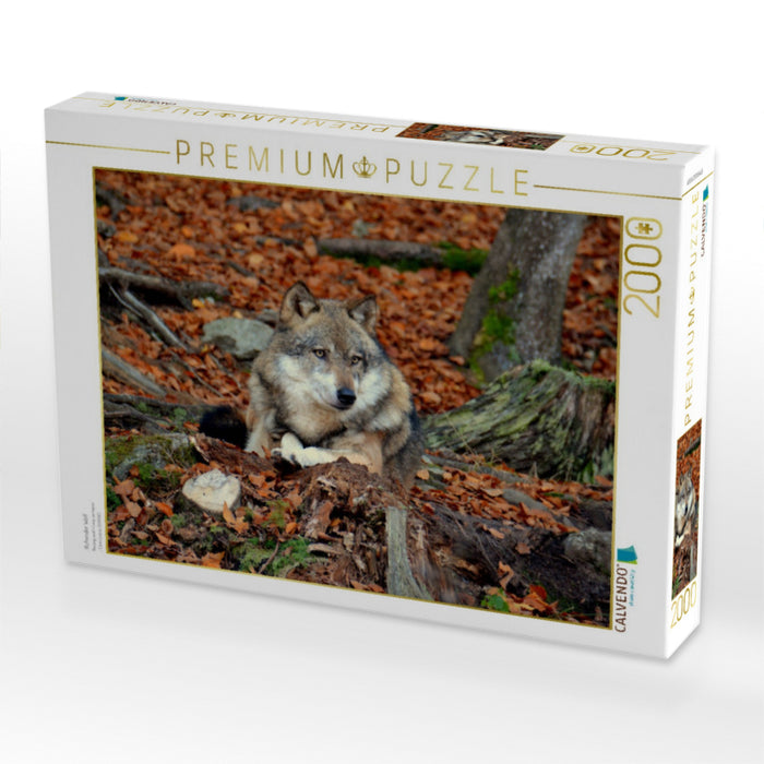 Ruhender Wolf - CALVENDO Foto-Puzzle'