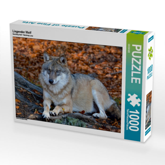 Loup couché - Puzzle photo CALVENDO 