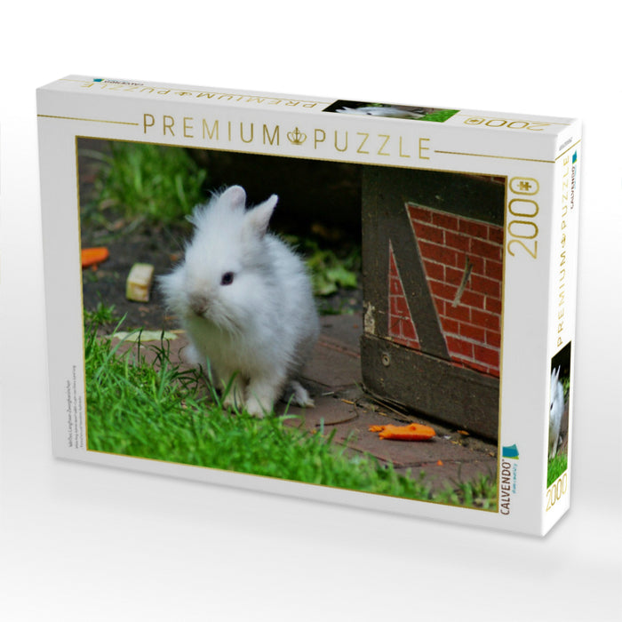 Weißes Langhaar-Zwergkaninchen - CALVENDO Foto-Puzzle'