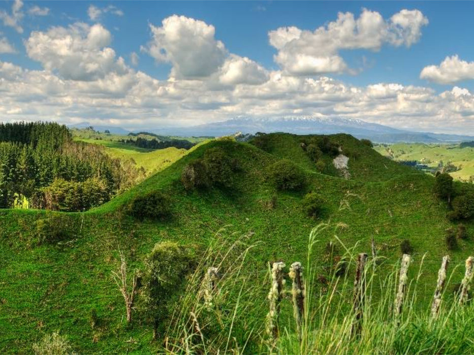 Ein Motiv aus dem Kalender Aotearoa - Land der langen weißen Wolke - CALVENDO Foto-Puzzle'