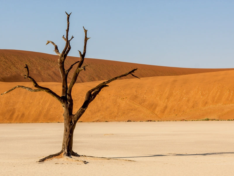NAMIBIE - SOSSUSVLEI - Puzzle photo CALVENDO 
