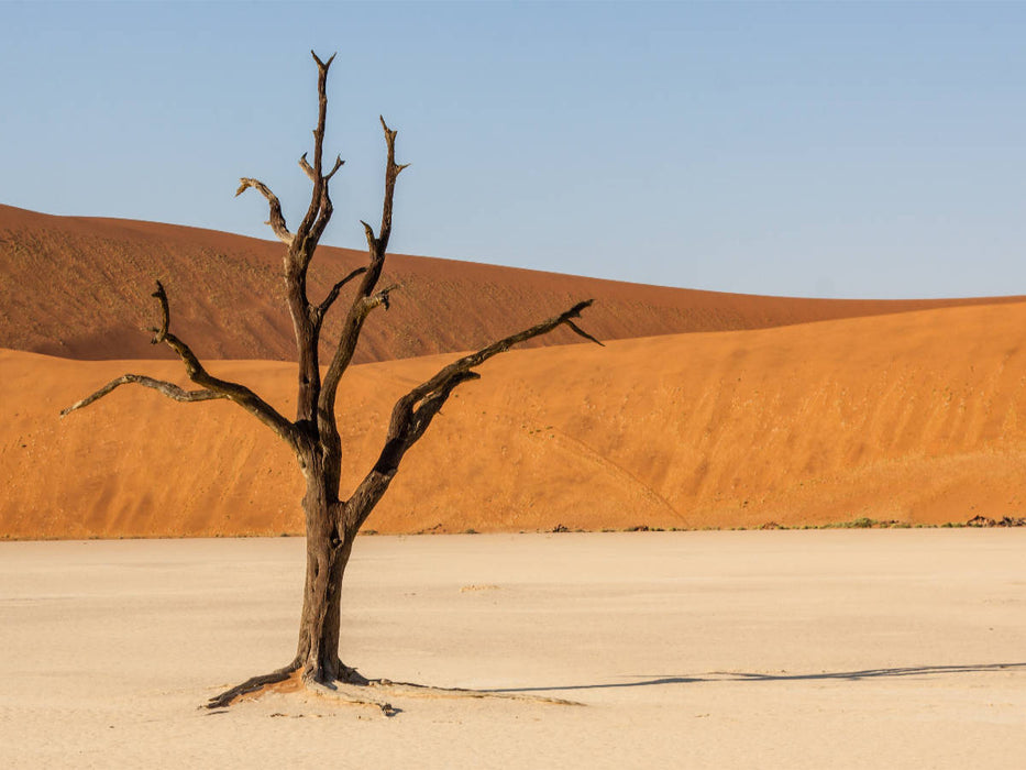 NAMIBIE - SOSSUSVLEI - Puzzle photo CALVENDO 