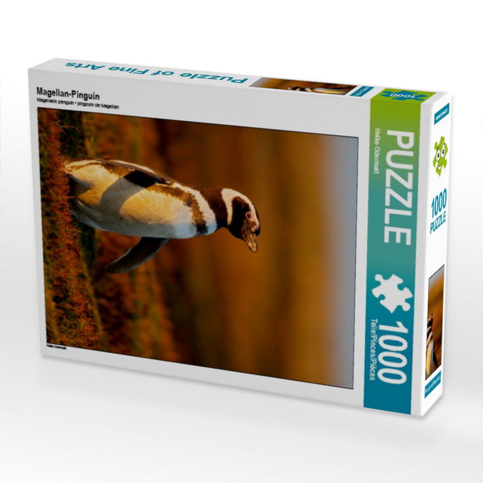 Magellan-Pinguin 1000 Teile Puzzle hoch - CALVENDO Foto-Puzzle'