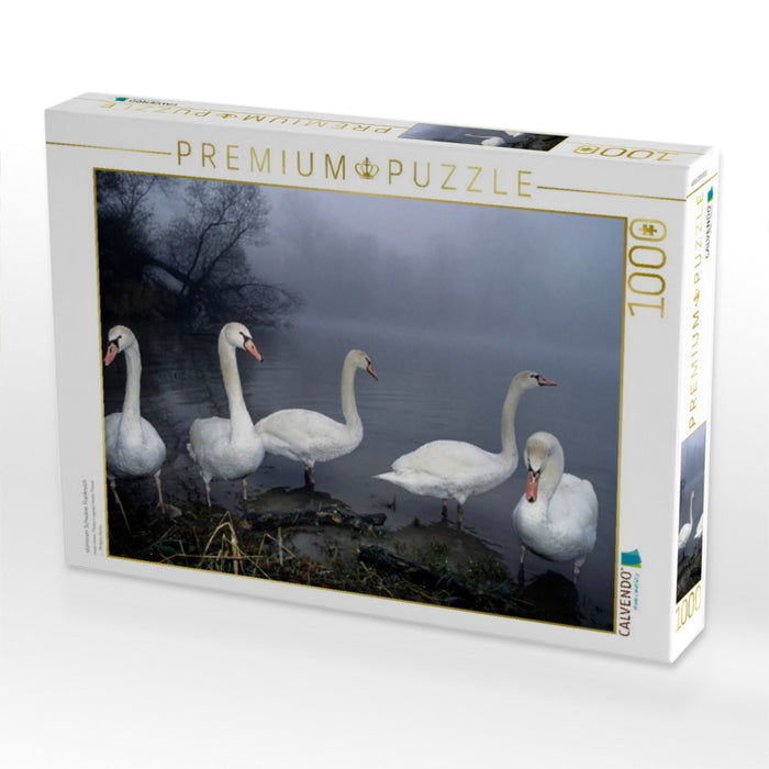 stummen Schwäne. Frankreich - CALVENDO Foto-Puzzle'