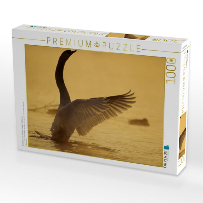 Ein Bild aus dem Kalender SWANS / UK-Version - CALVENDO Foto-Puzzle'
