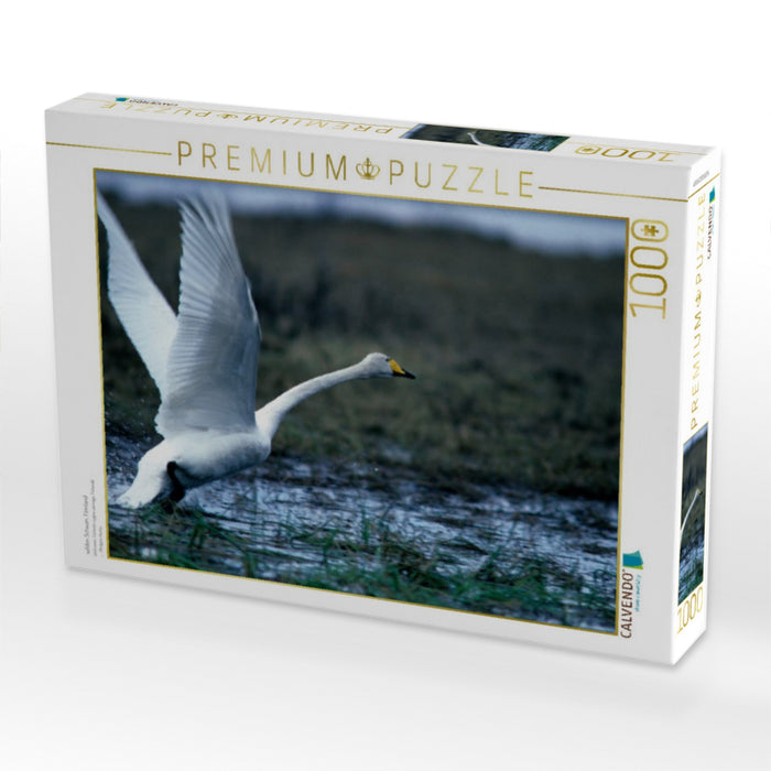 wilden Schwan. Finnland - CALVENDO Foto-Puzzle'