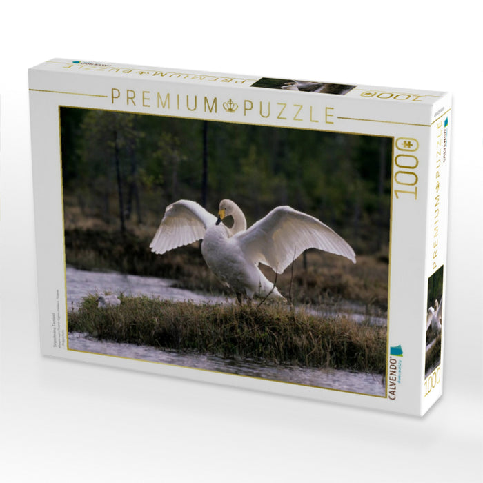 Singschwäne. Finnland - CALVENDO Foto-Puzzle'