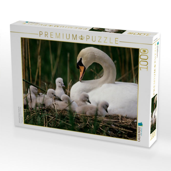stummen Schwäne. Frankreich - CALVENDO Foto-Puzzle'
