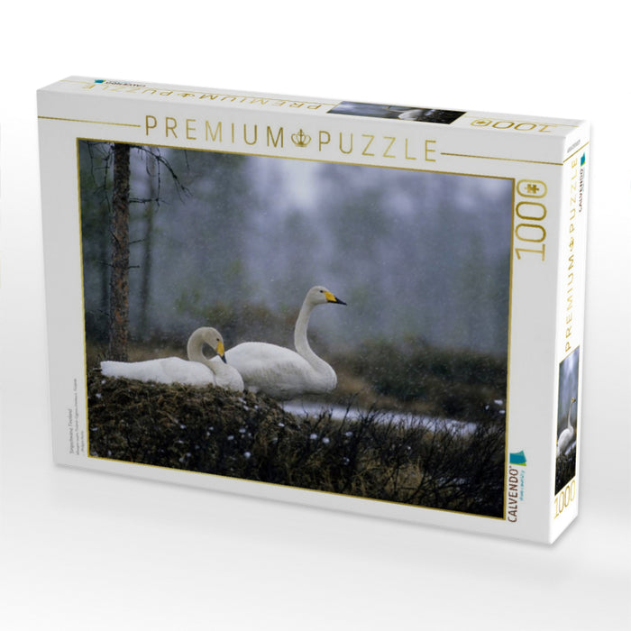 Singschwäne. Finnland - CALVENDO Foto-Puzzle'