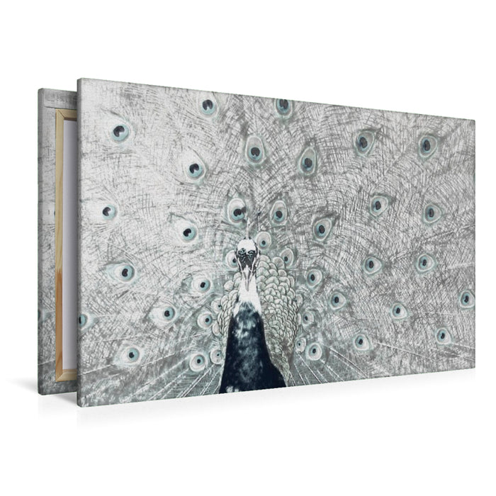 Premium Textil-Leinwand Pfau