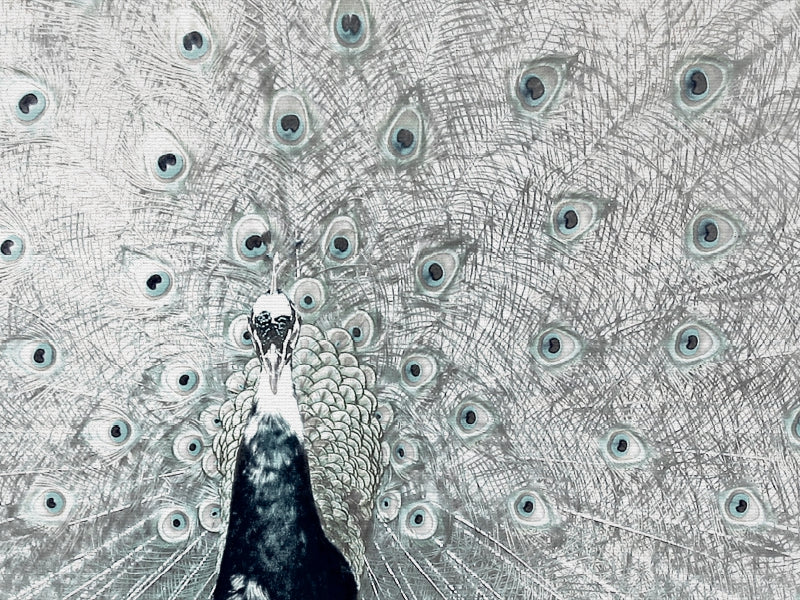 Pfau 1000 Teile Puzzle quer - CALVENDO Foto-Puzzle'