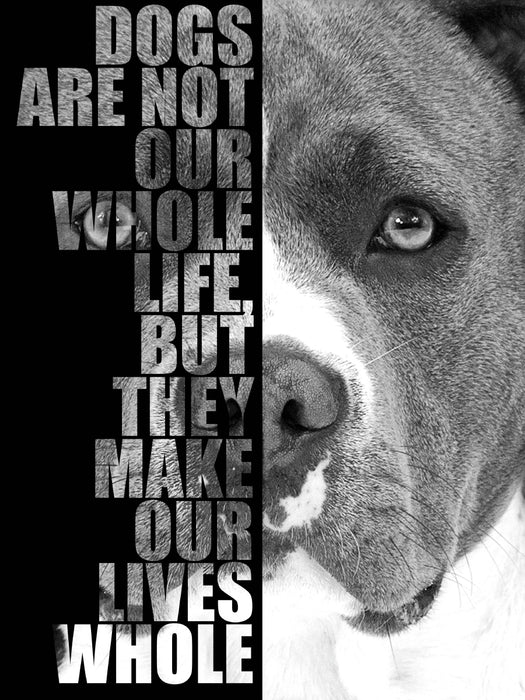 American Staffordshire Terrier - Puzzle photo CALVENDO 