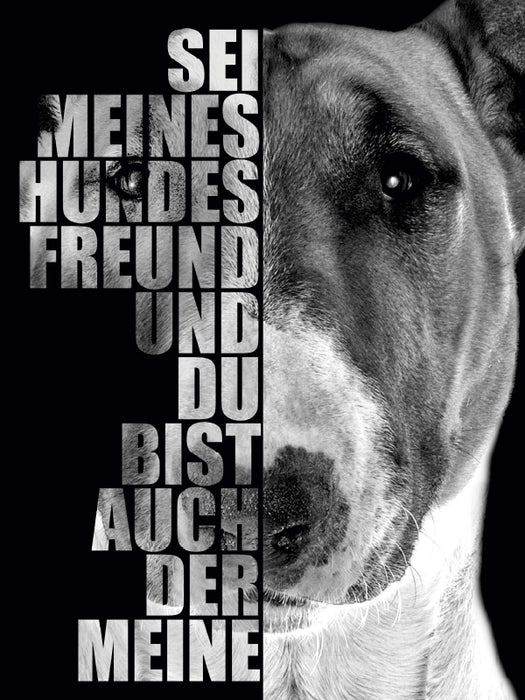 Bull Terrier - Puzzle photo CALVENDO 