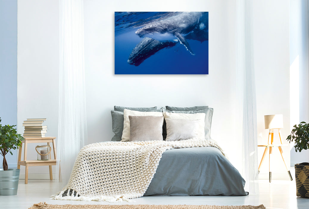 Toile textile premium Toile textile premium 120 cm x 80 cm paysage baleine à bosse veau plein de joie de vivre
