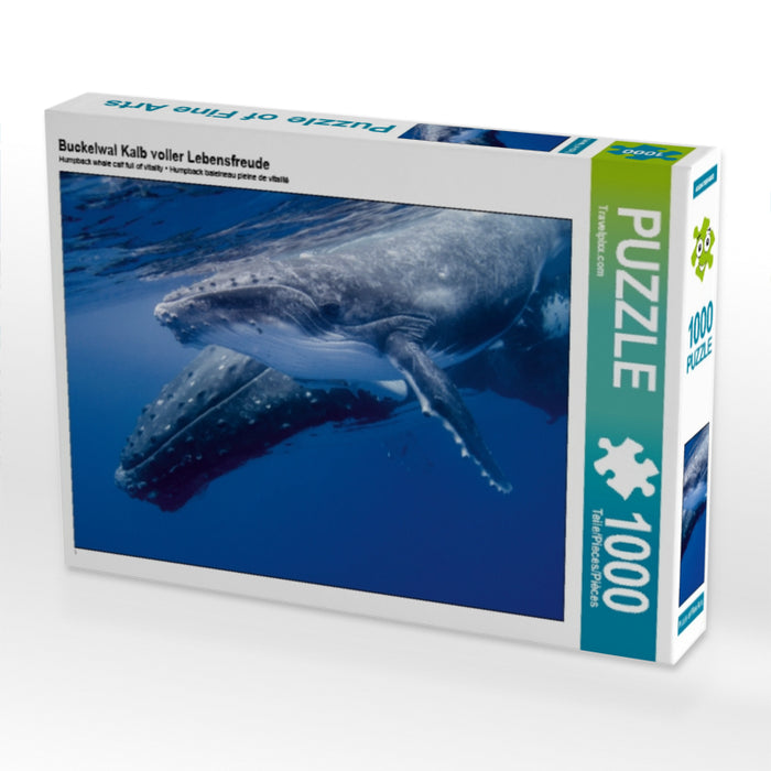 Humpback whale calf full of joy of life - CALVENDO photo puzzle 