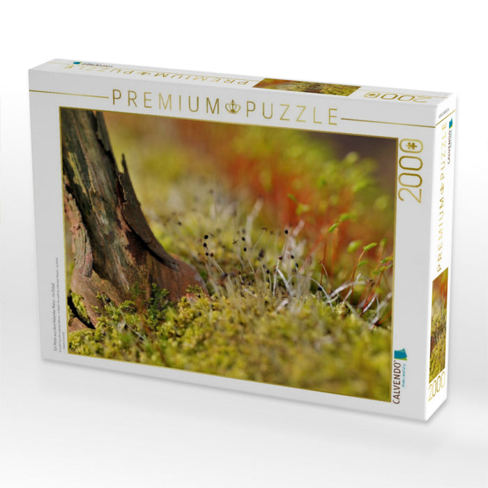 Ein Motiv aus dem Kalender Natur - im Detail - CALVENDO Foto-Puzzle'