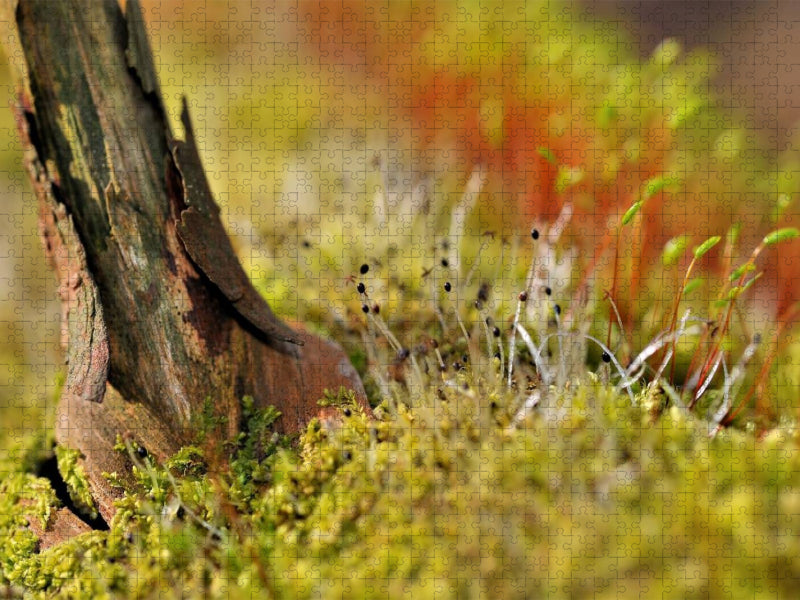 Ein Motiv aus dem Kalender Natur - im Detail - CALVENDO Foto-Puzzle'