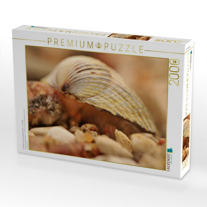 Ein Motiv aus dem Kalender Natur - im Detail - CALVENDO Foto-Puzzle'
