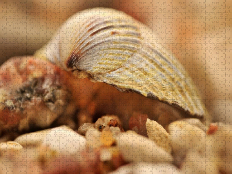 Ein Motiv aus dem Kalender Natur - im Detail - CALVENDO Foto-Puzzle'