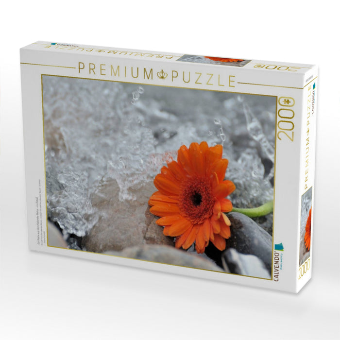 Ein Motiv aus dem Kalender Natur - im Detail - CALVENDO Foto-Puzzle'