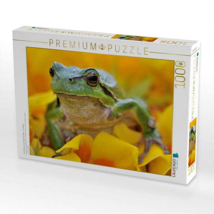 Ein Motiv aus dem Kalender Natur - im Detail - CALVENDO Foto-Puzzle'