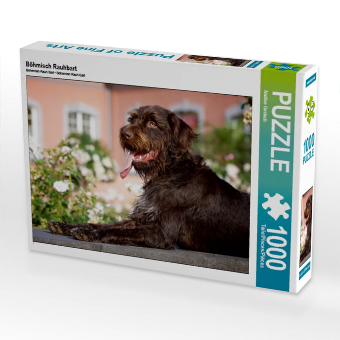 Böhmisch Rauhbart 1000 Teile Puzzle quer - CALVENDO Foto-Puzzle'