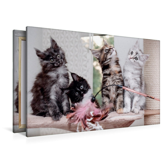 Premium Textil-Leinwand New Kitts